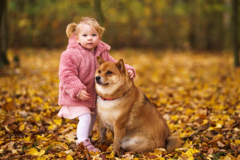 IMG 2023110403422 web