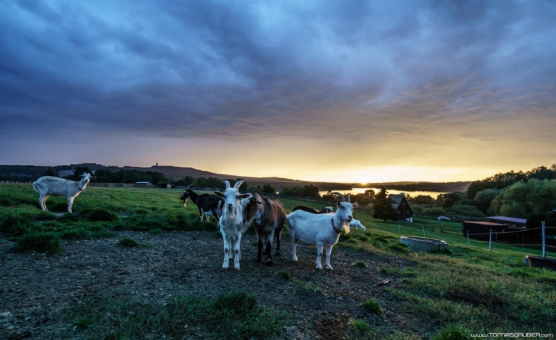 IMG 2020100309285 web