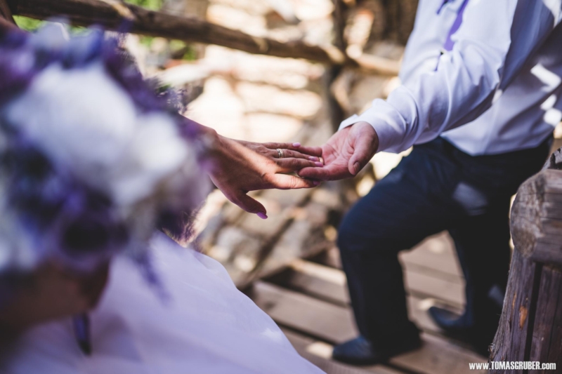 IMG_201907050287 web