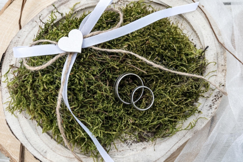 IMG_202204300024 web