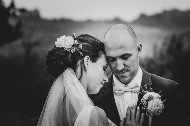 IMG_202109110316 web