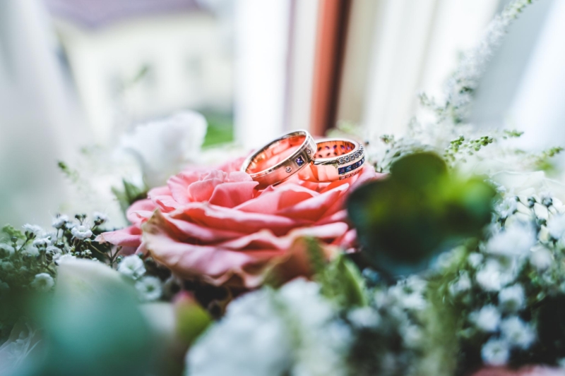 IMG_202105150058 web